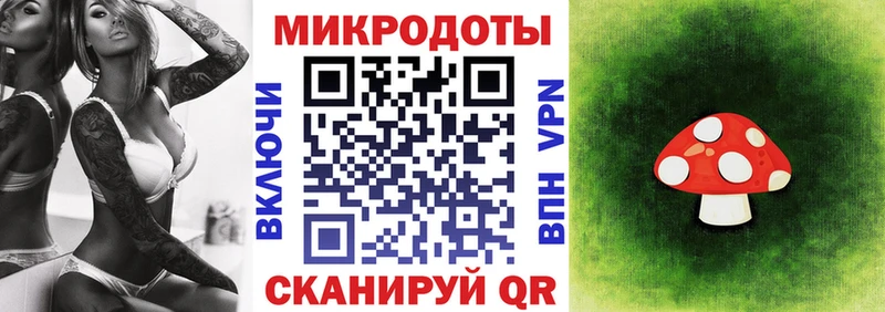 Галлюциногенные грибы мухоморы  блэк спрут ссылки  Питкяранта 