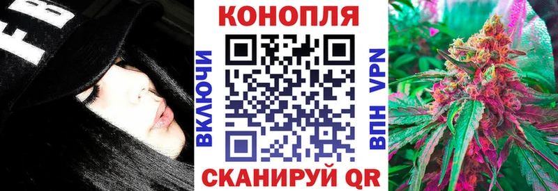 Бошки марихуана Amnesia  где можно купить   Питкяранта 